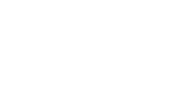 Lysergyc Times Logo